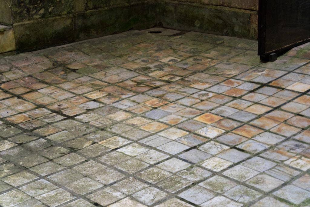 Herculaneum Suburban Baths. October 2023. Detail of flooring in frigidarium. Photo courtesy of Johannes Eber.